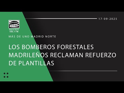 Los Bomberos Forestales madrile&ntilde;os reclaman refuerzo de plantillas