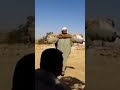 رقص نايليnaili 2023 