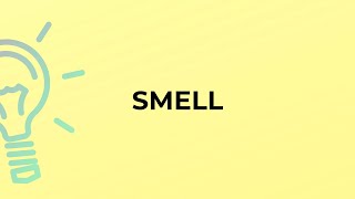 What is the meaning of the word SMELL?