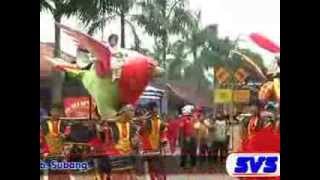 Download Lagu Bang Roni_singa dangdut siliwangi jaya MP3