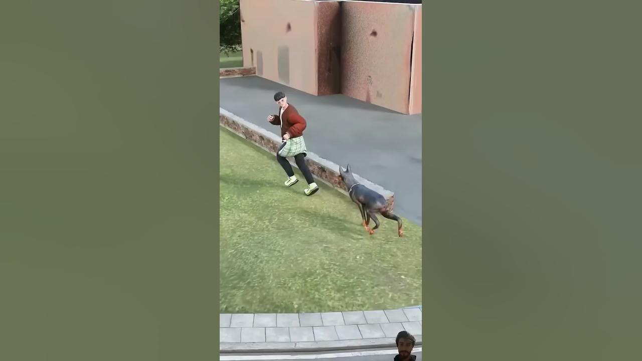 how-to-service-dog-attack