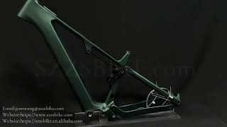 Custom CEF55 E-MTB with Full Bafang M820 Mid Motor, 48V 720WH Battery, and DPC030 Display