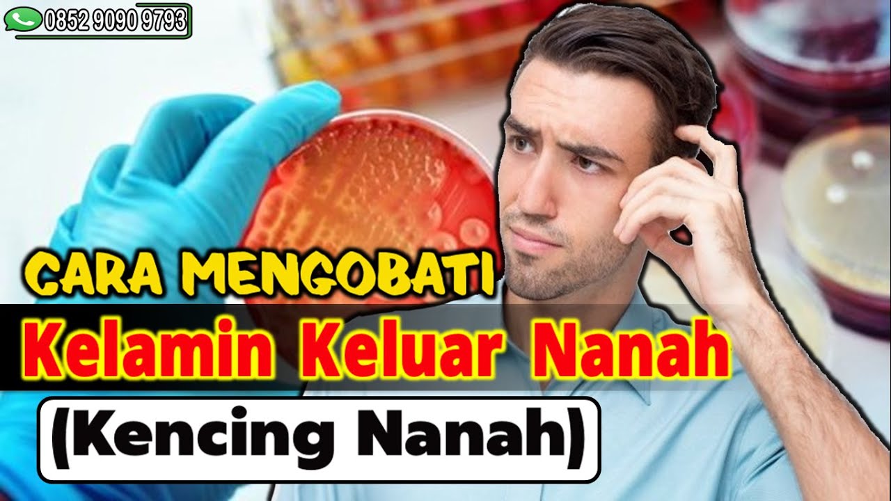 Cara Mengobati Kelamin Keluar Nanah (Kencing Nanah)