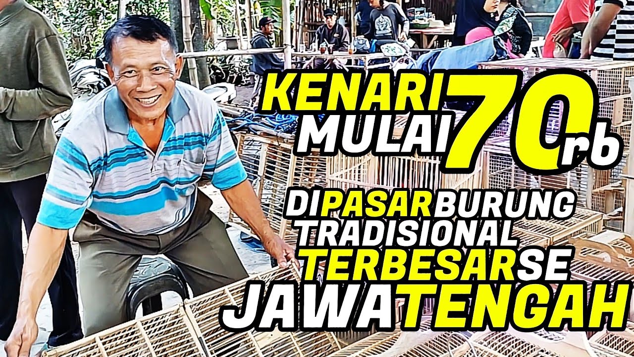 VLOG PASAR‼️Kenari HARGA MURAH melimpah di Pasar Burung TRADISIONAL terbesar di JAWA TENGAH...