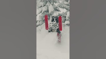 GOT SNOW? #snowmobiling #509 #polaris #skidoo #arcticcat #foryou #lynxsnowmobiles #snowmobile