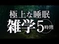 【睡眠導入】極上な睡眠雑学5時間【合成音声】