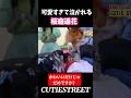 ぱるたんのデビューライブを見て号泣する桐原美月#桜庭遥花#桐原美月#cutiestreet#きゅーすと#アイドル#shorts#かわいいだけじゃだめですか