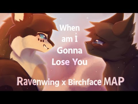 WHEN AM I GONNA LOSE YOU | COMPLETE RavenxBirch AU Warriors MAProject (TW/desc)