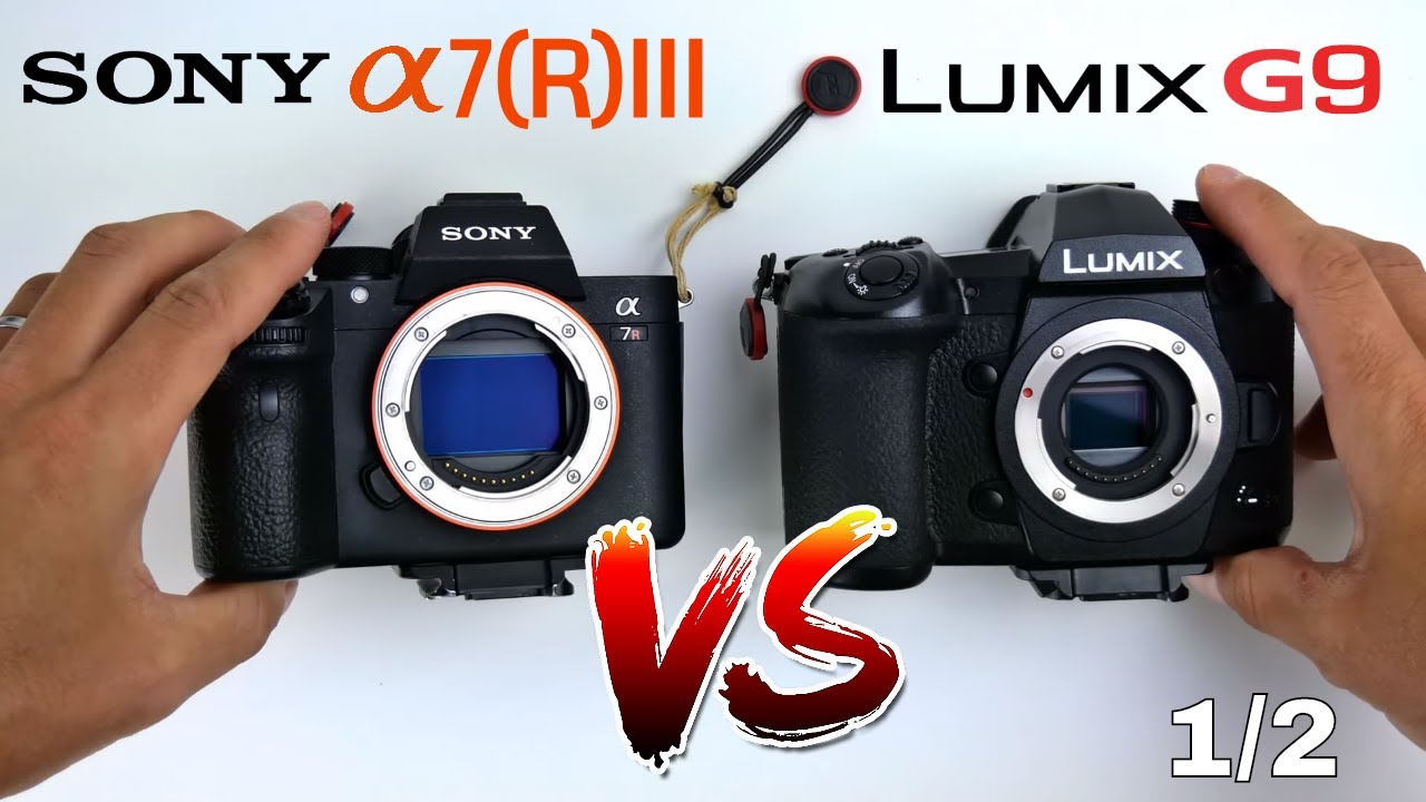 Panasonic Lumix G9 vs Sony A7iii / A7Riii, raison du choix et ergonomie
