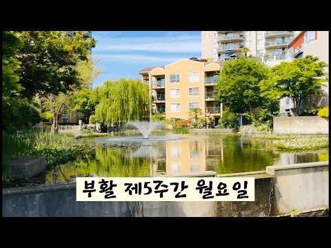 영상썸네일