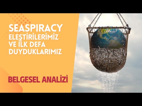 Video: Çin Panama Kağıtları Offshore Hesapları Para Saklanarak İnsanlar Ve Şirketler Listesi Tops