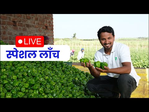 लॉन्च LIVE – शिमला मिर्च कोर्स 🔴