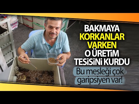 Video: Yavrularda Solucanlar Nasıl Tespit Edilir: 12 Adım