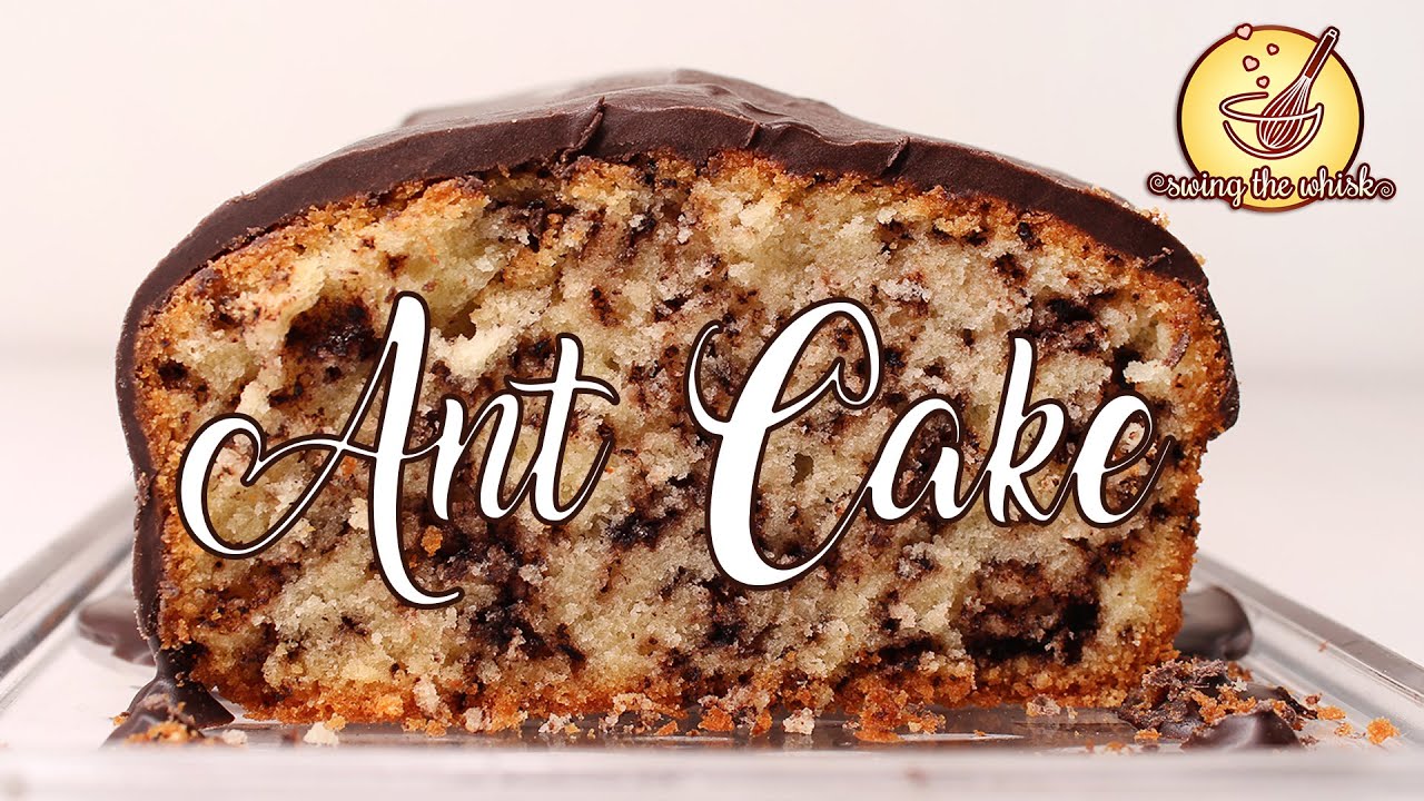 Ant Cake (Ameisenkuchen) | Delicious Chocolate Cake (Stracciatellakuchen - Stracciatella cake)