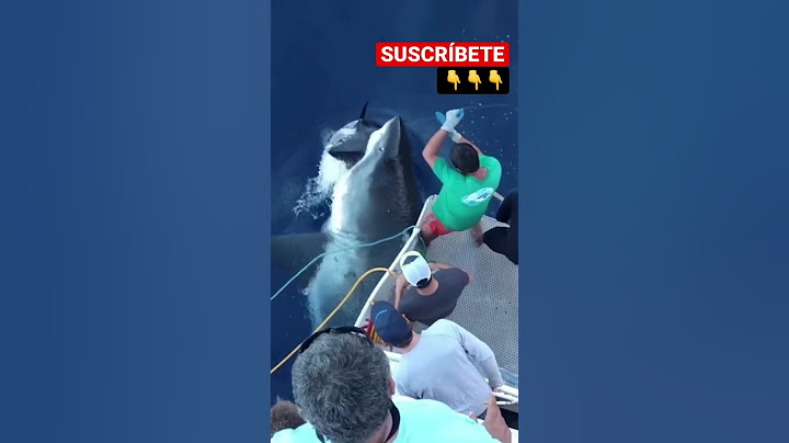 😱ESPERA por el giro IMPACTANTE 🦈¡Alinea a mano un atún ENORME para un giro loco! #fishing #shark