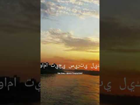 ورده مستحيل مش حتلقي حد بعدي اكسبلور  حالات تيك توك اسوان نهر النيل بعدستي