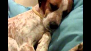 Busco a Isis 1.wmv