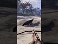 Project Castaway Gameplay