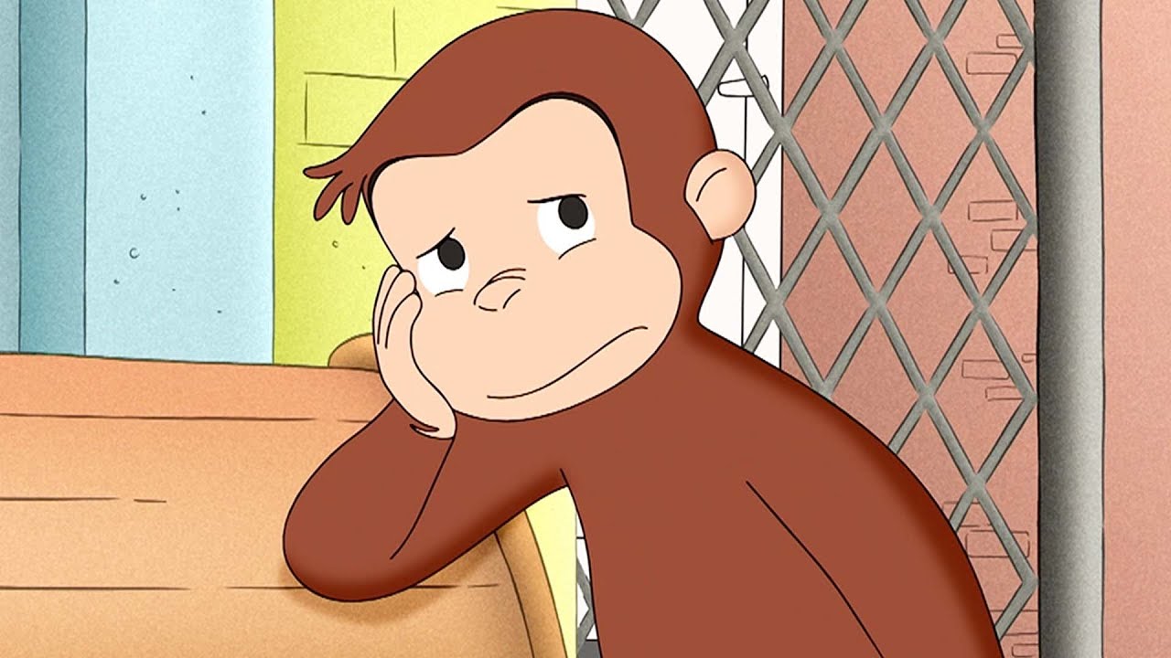 George está perdido! 🐵 George, o Curioso 🐵 Desenhos Animados