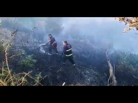 ხაშურში, სოფელ ცედანთან 220 მეხანძრე-მაშველი და 12 სახანძრო-სამაშველო სპეცტექნიკა მუშაობს