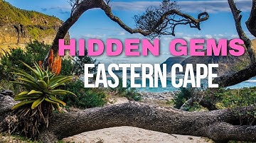 Top 5 Hidden Gems of the Eastern Cape South Africa