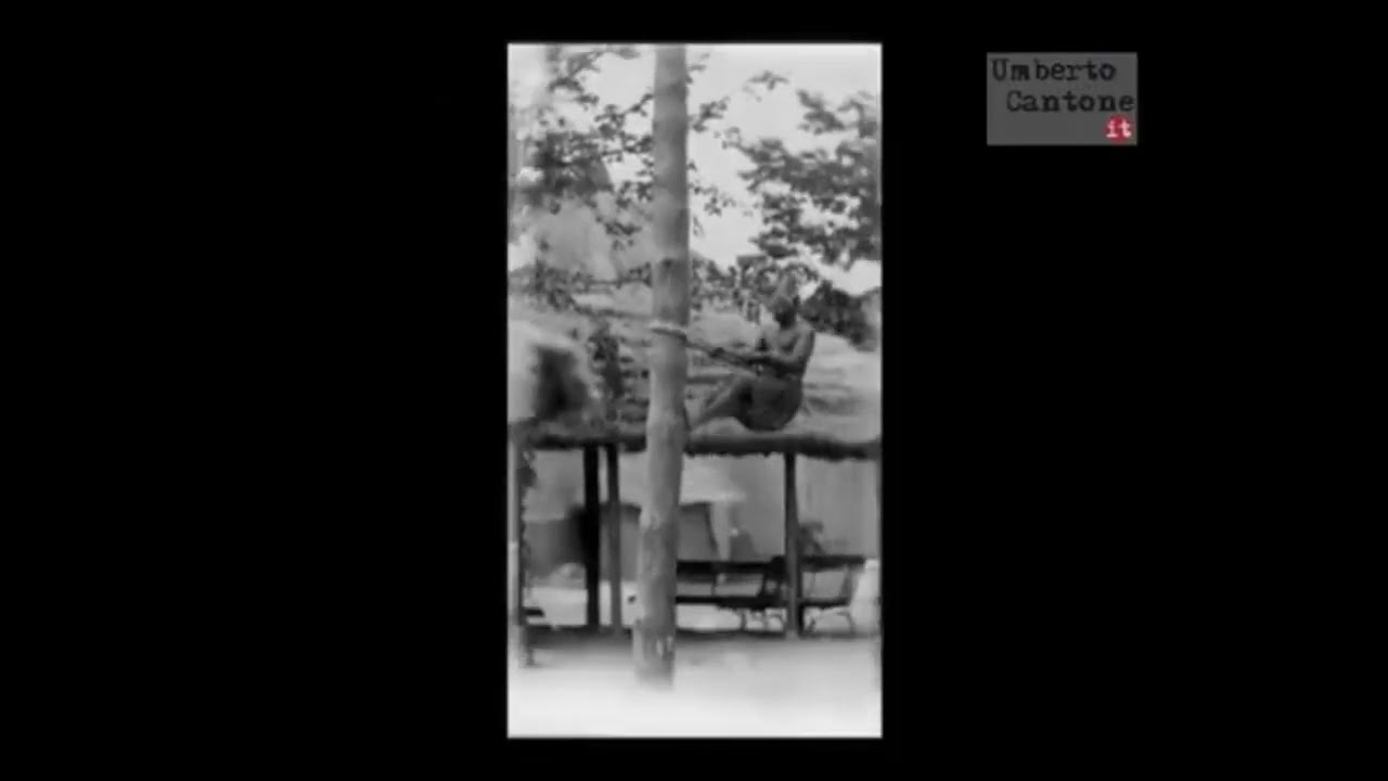 Gambian Climbing a Tree (1895) Felix Regnault CHRONOPHOTOGRAPHY
