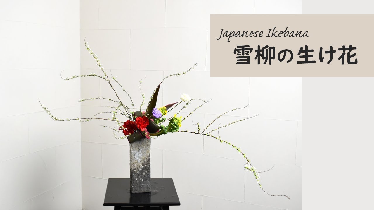 【雪柳の生け花】 初心者でもコツが分かればとっても簡単！ 生け方の基本からアレンジまでサクッと紹介。 Japanese ikebana style flower arrangement class