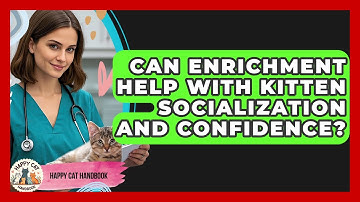 Can Enrichment Help With Kitten Socialization And Confidence? - Happy Cat Handbook