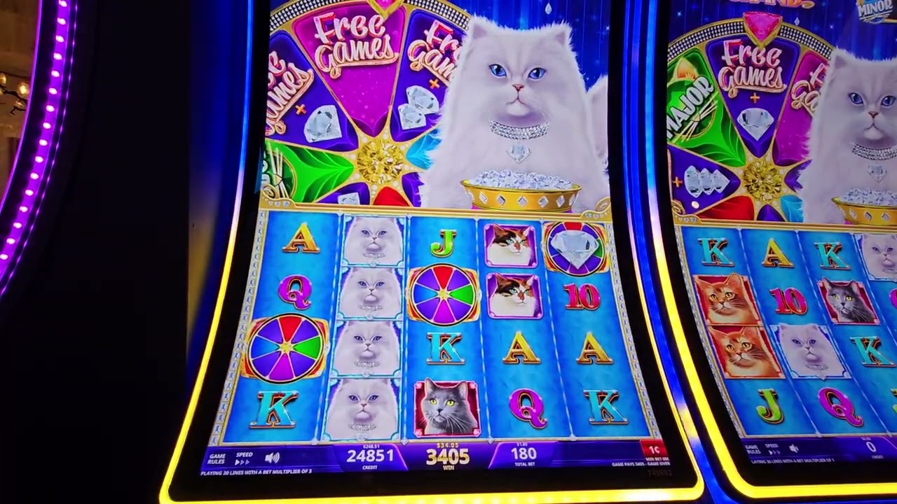 🚨New Kitty Glitter Grand 