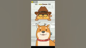 Hide and Seek: Cat Escape! 😹😻 #level 507 #shorts