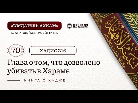 70. 🕋 Глава о том, что дозволено убивать в Хараме. Хадис 216. Умдатуль-ахкам. Шарх шейха Усеймина