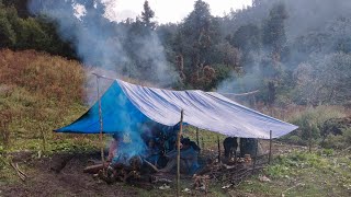 This is Himalayan Life | Nepal🇳🇵| Organic Village Life | Ep-188 | Himalayan Shepherd Life |Village