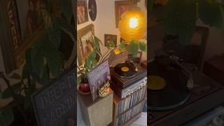 Download Lagu “Highway Star” #deeppurple #highwaystar #vc #vinylcommunity #70srock #vlmtl #thevinylloungemtl MP3 Download Lagu “Highway Star” #deeppurple #highwaystar #vc #vinylcommunity #70srock #vlmtl #thevinylloungemtl MP3