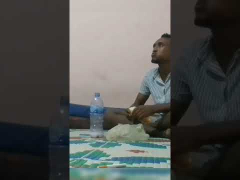 Maal Akkatti Daabboo Goggoyduu Nyaatuun