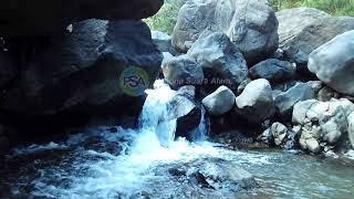 Jejak Petualangan Di Sungai Besar & Suara Gemericik Air Terjun Di Gunung. Pemandangan Alam Indah.