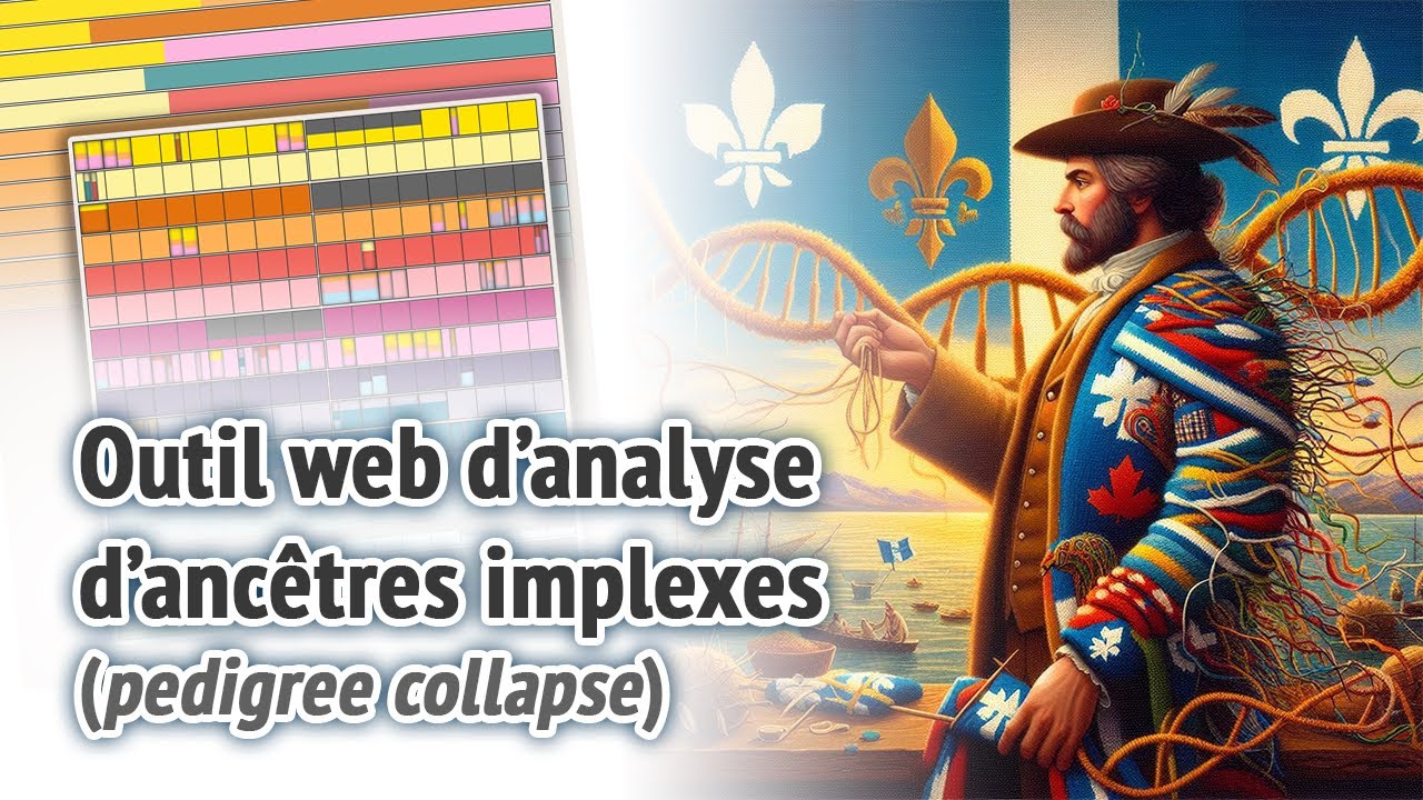 Outil web d'analyse d'ancêtres implexes (pedigree collapse)