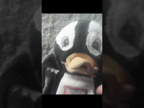 xd grasias por su apoyo #baso de sr maruchan xd