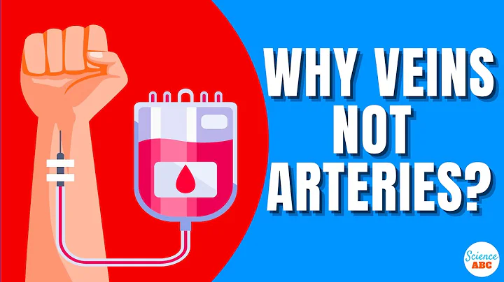 Why Is Blood Drawn From Veins And Not From Arteries? - DayDayNews