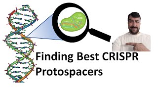 CRISPR gRNA design for targeting efficient protospacers