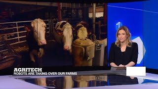 Agritech: A sneak peek at the future of agriculture