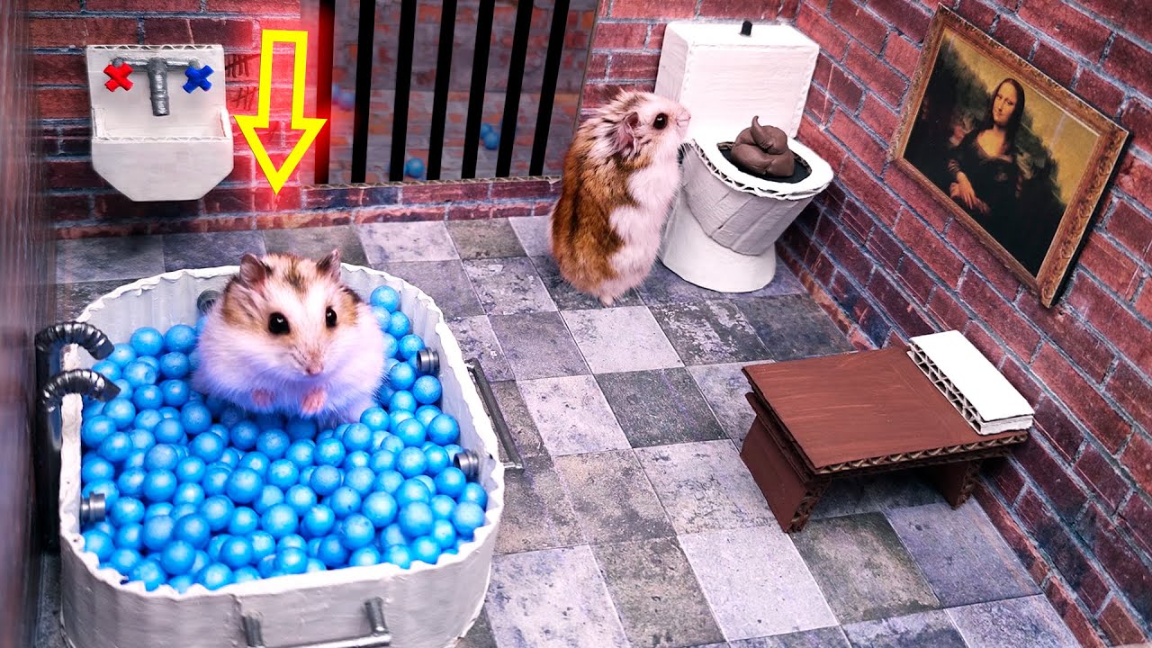 🐹Hamster Escapes the Awesome 5-Star Luxury Prison Maze with Bathtub🐹 for Pets in real life