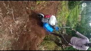 SRI VENKATESWARA AGRO TECH HONDA GX160 5 HP POWER WEEDER 9392012962