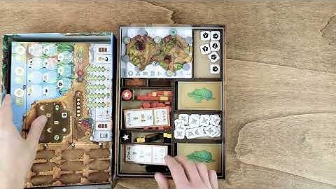 Vertical Storage Test Ants Board Game Insert Organizer - The Dicetroyers