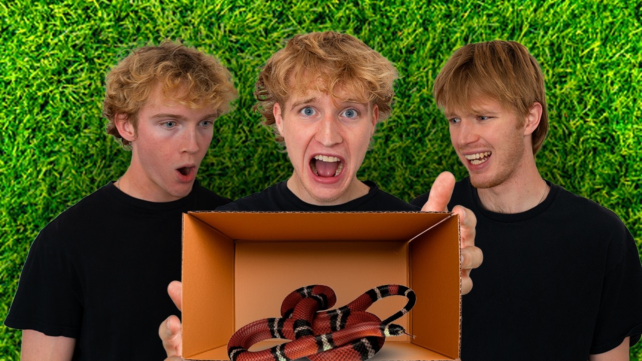 GUESS WHAT'S IN THE BOX CHALLENGE