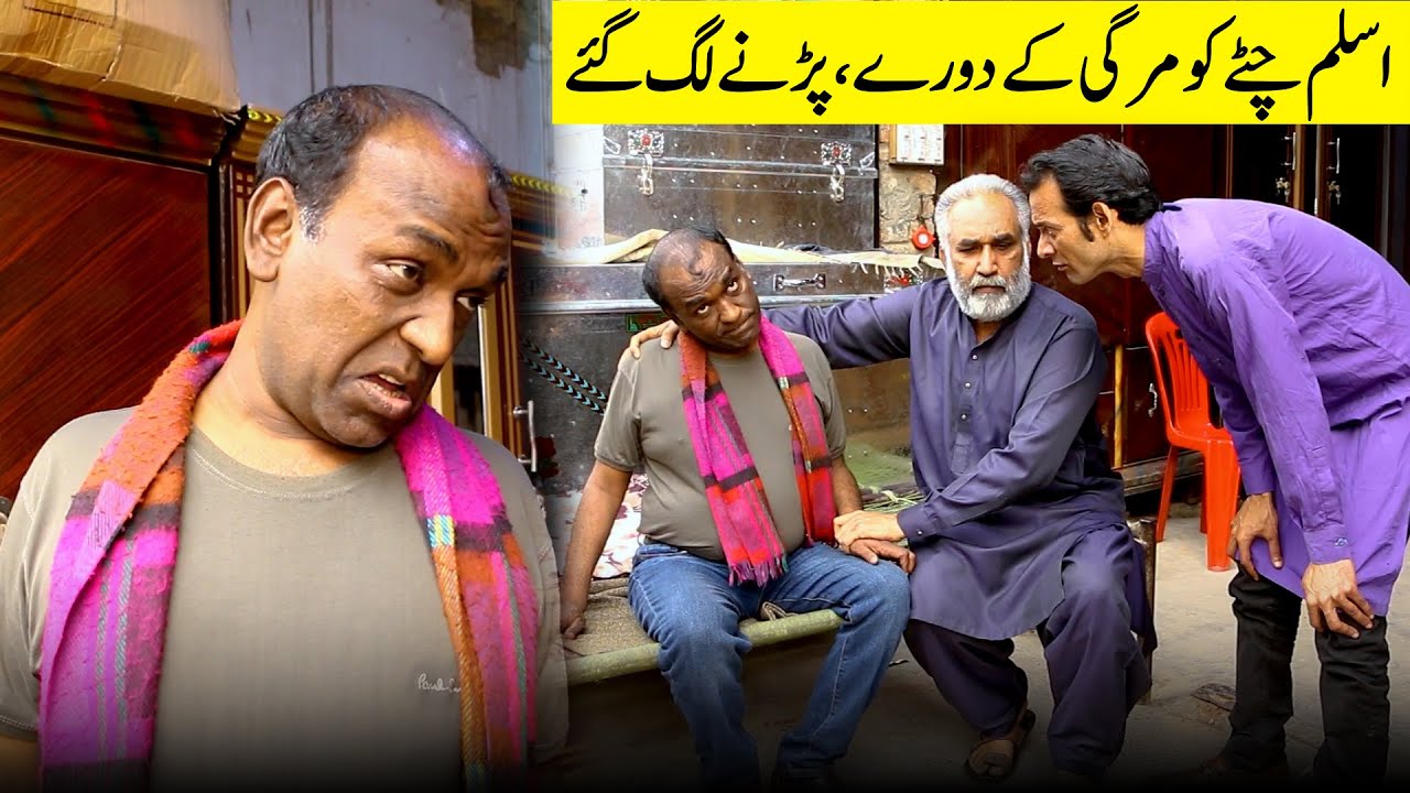 Aslam Chitty Ko Mirgi K Dory Parny Lag Gy || Standup Comedy By Aslam Chitta ||