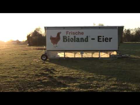biodiversité tous vivants I Field good : Stéfanie - La animaux