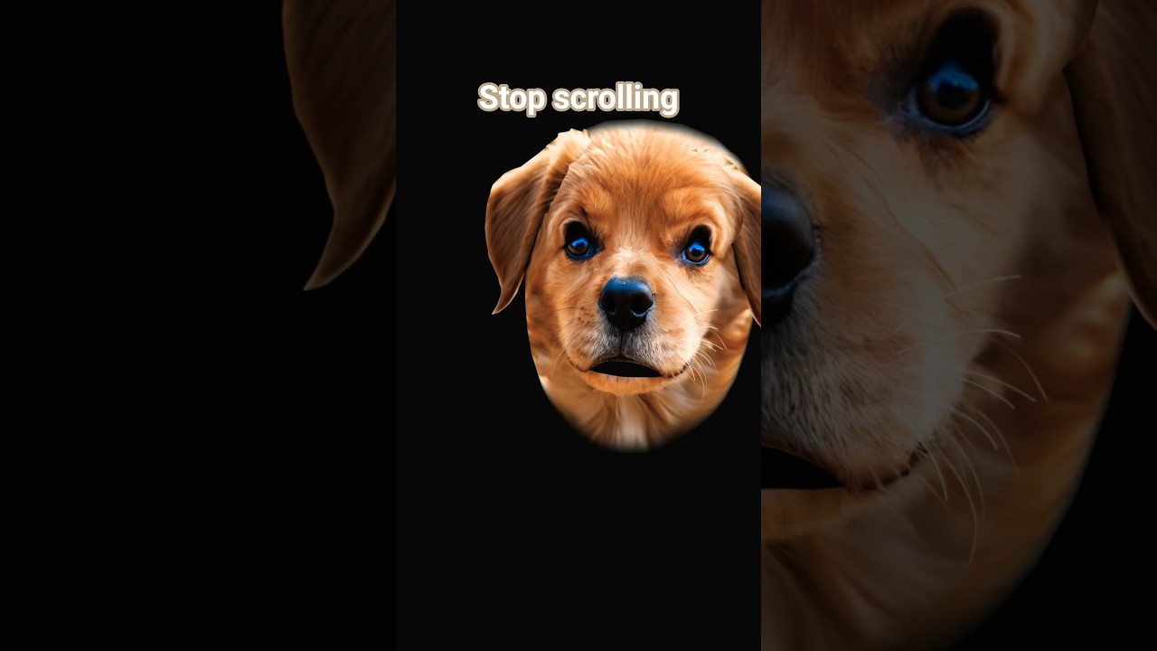 STOP SCROLLING PAST SMALL CONTENT CREATORS