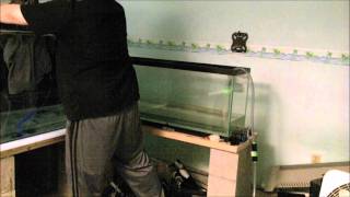 350 Gallon Pacu Tank