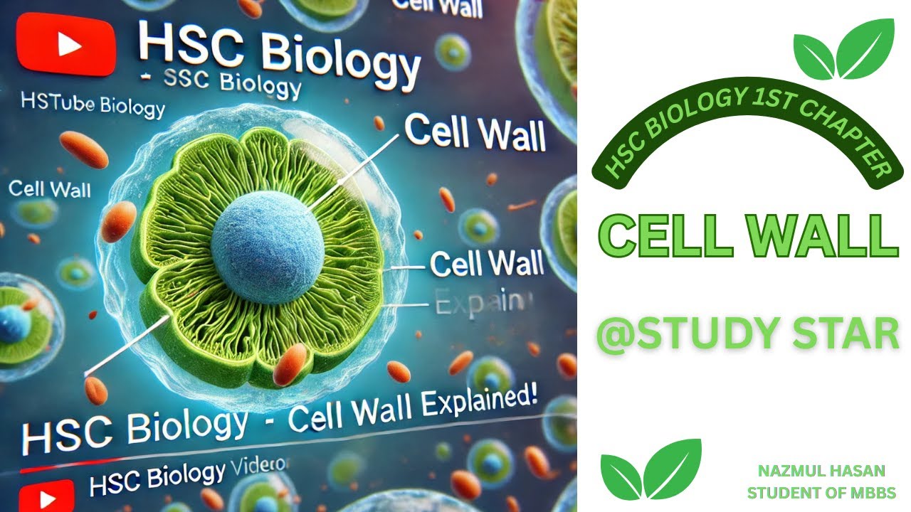 hsc-biology-cell-wall-explained-structure-function-importance