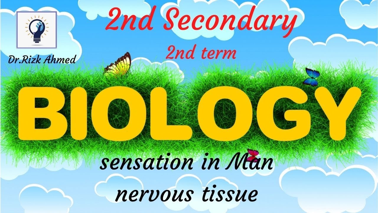 Biology // sensation in man - nervous tissue // 2nd sec - 2nd term : Egypt